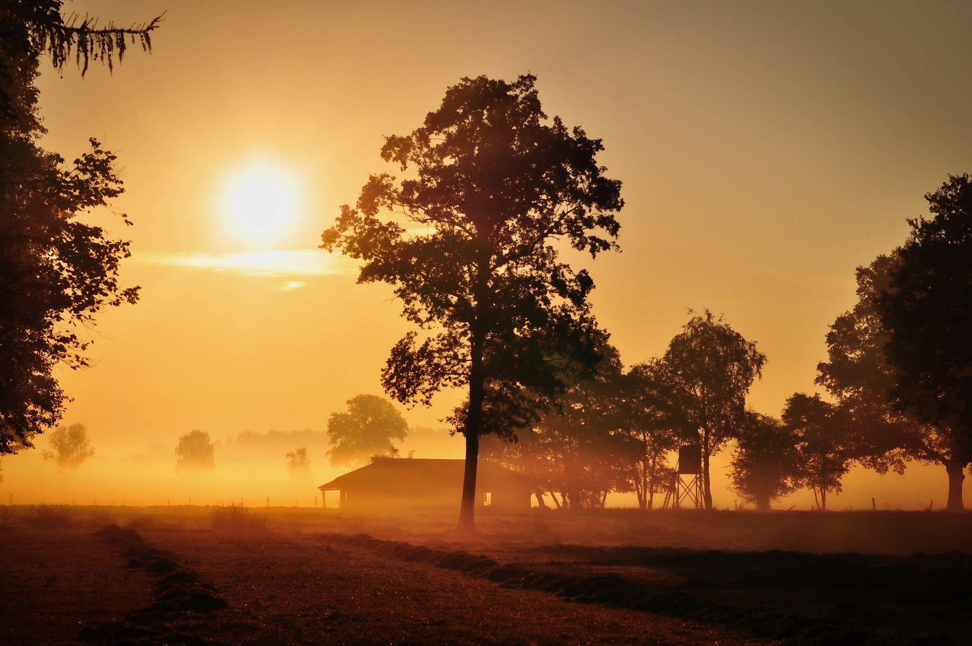 Morgenstimmung Trapper Akademie 5021 Event Nature